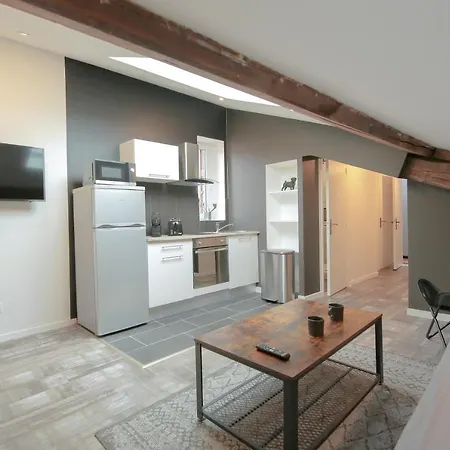 Le Classy, T3 Hypercentre Chic Et Cosy, Wifi Par Sovalfi Saint-Etienne  Exterior photo