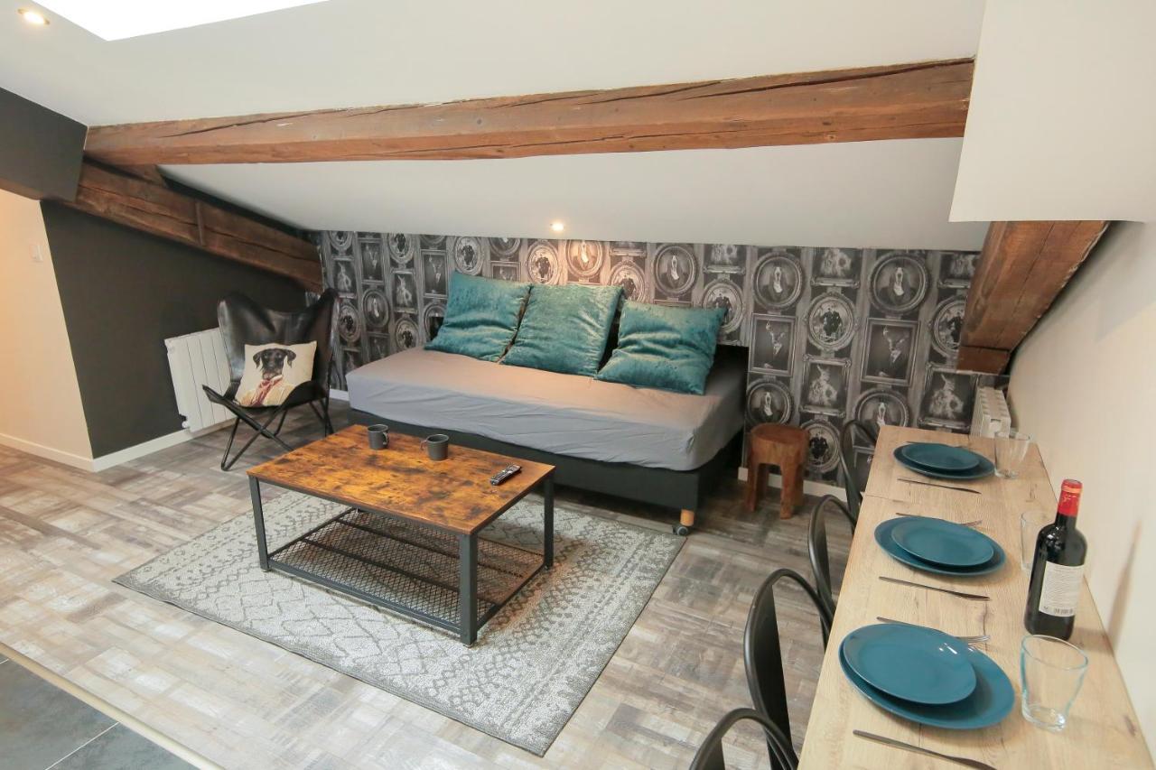 Apartment Le Classy, T3 Hypercentre Chic Et Cosy, Wifi Par Sovalfi Saint-Etienne (Loire)